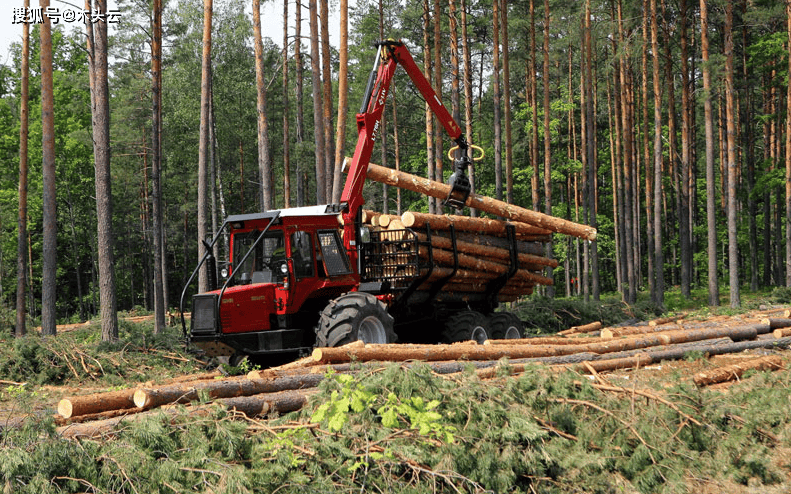 白俄罗斯对中国等“新兴”市场木材出口超越传统市场！kb体育(图2)